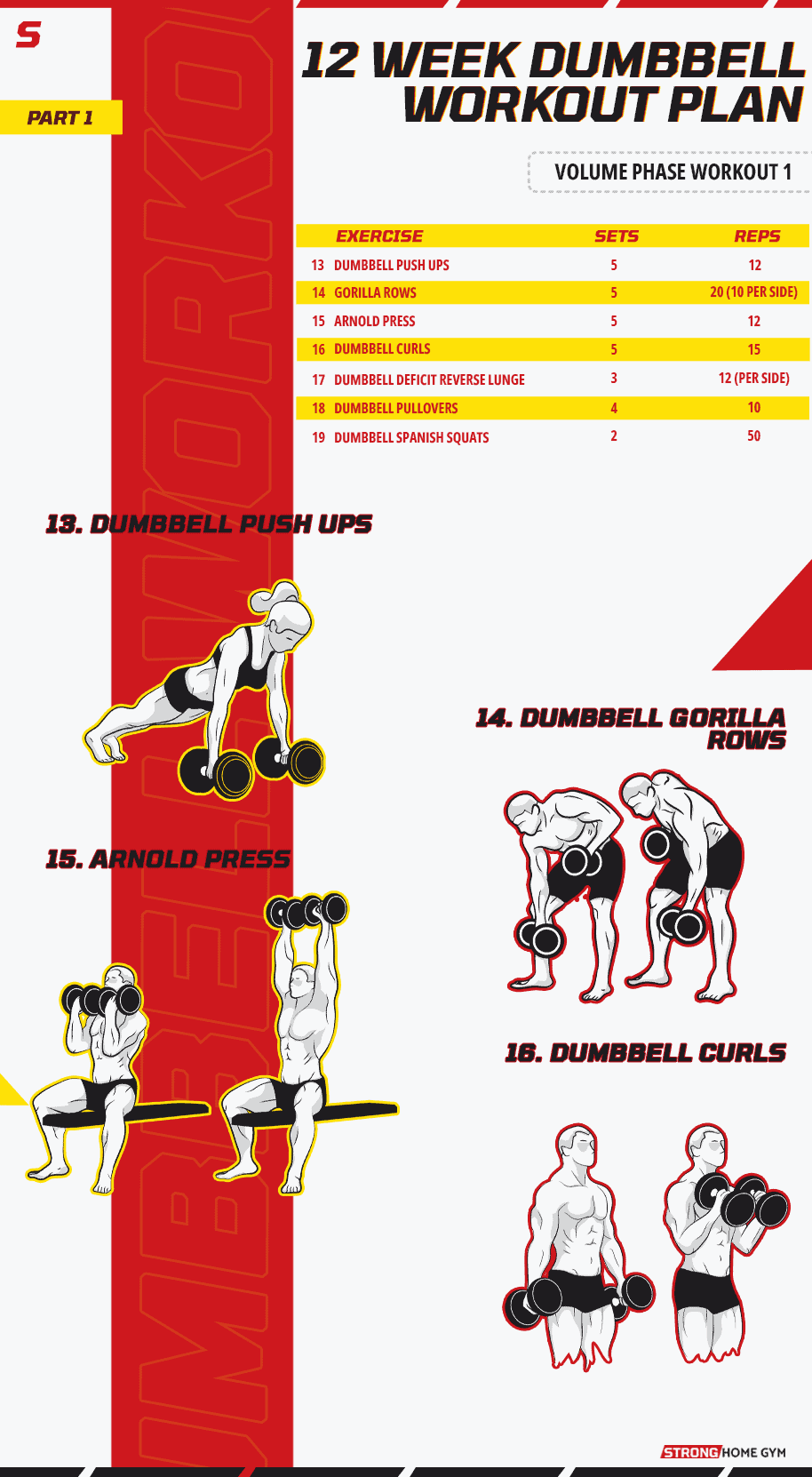 12 week dumbbell workout plan volume phase workout 1 part 1