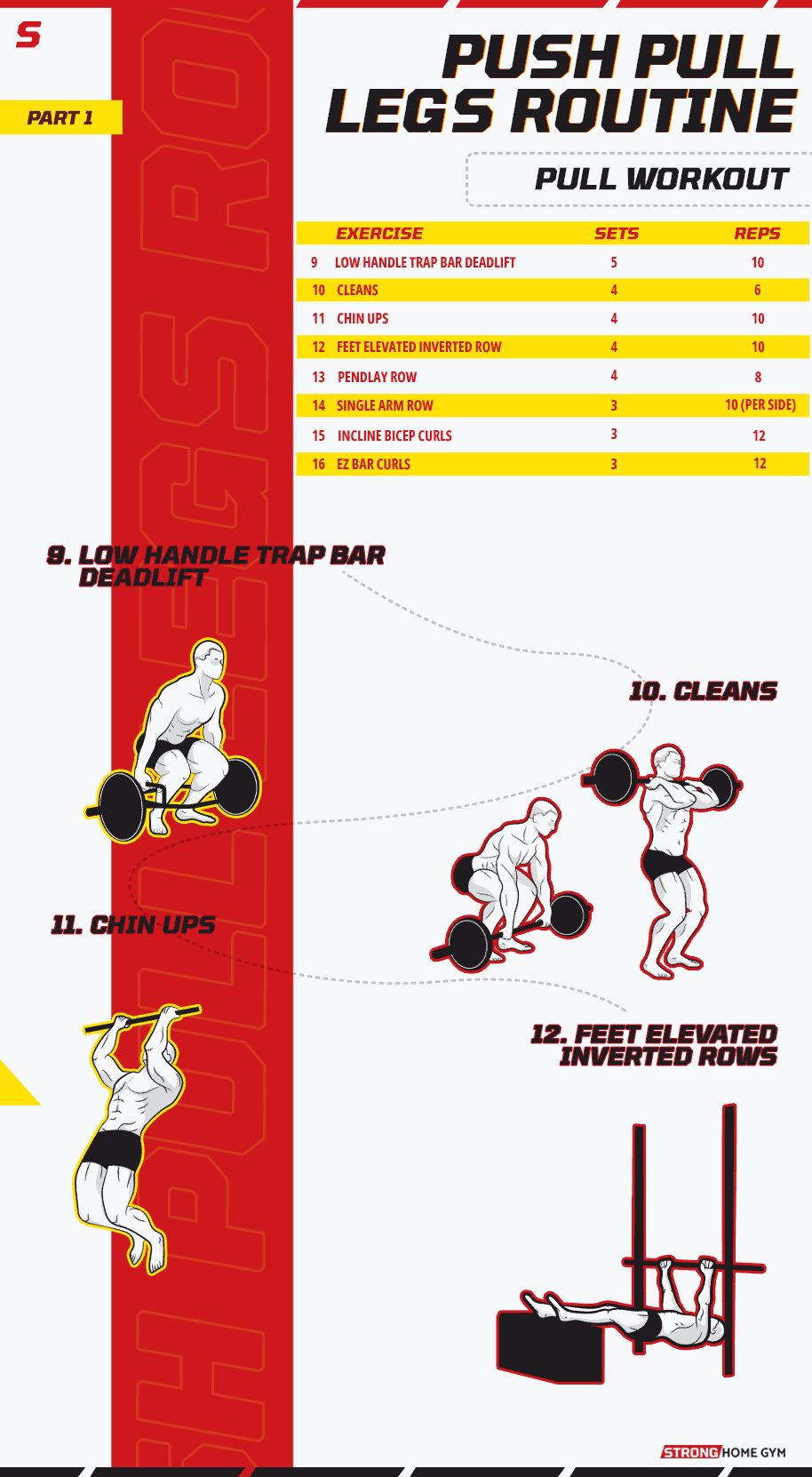 Push pull legs routine pull workout infographic 1