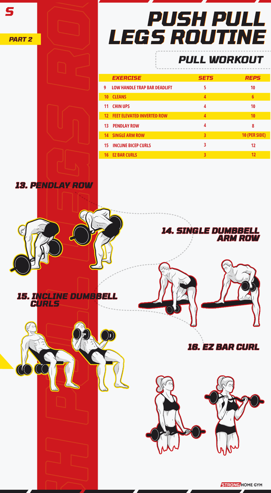 Push pull legs routine pull workout infographic 2