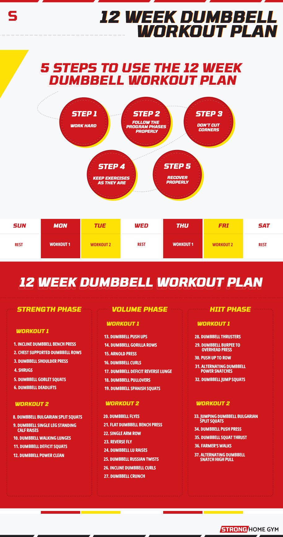12 week dumbbell workout plan general infographic