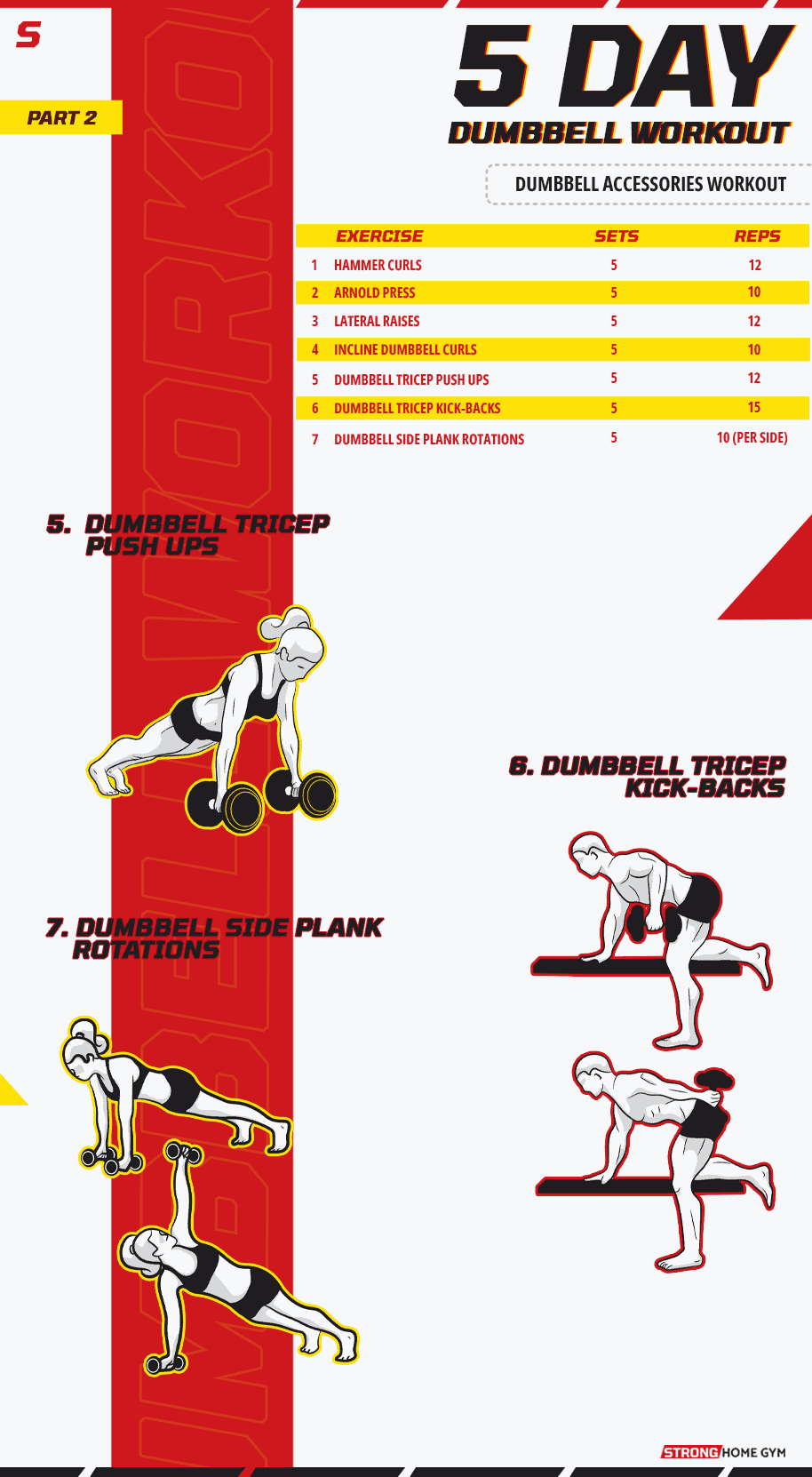5 Day Dumbbell Accessories Workout part 2