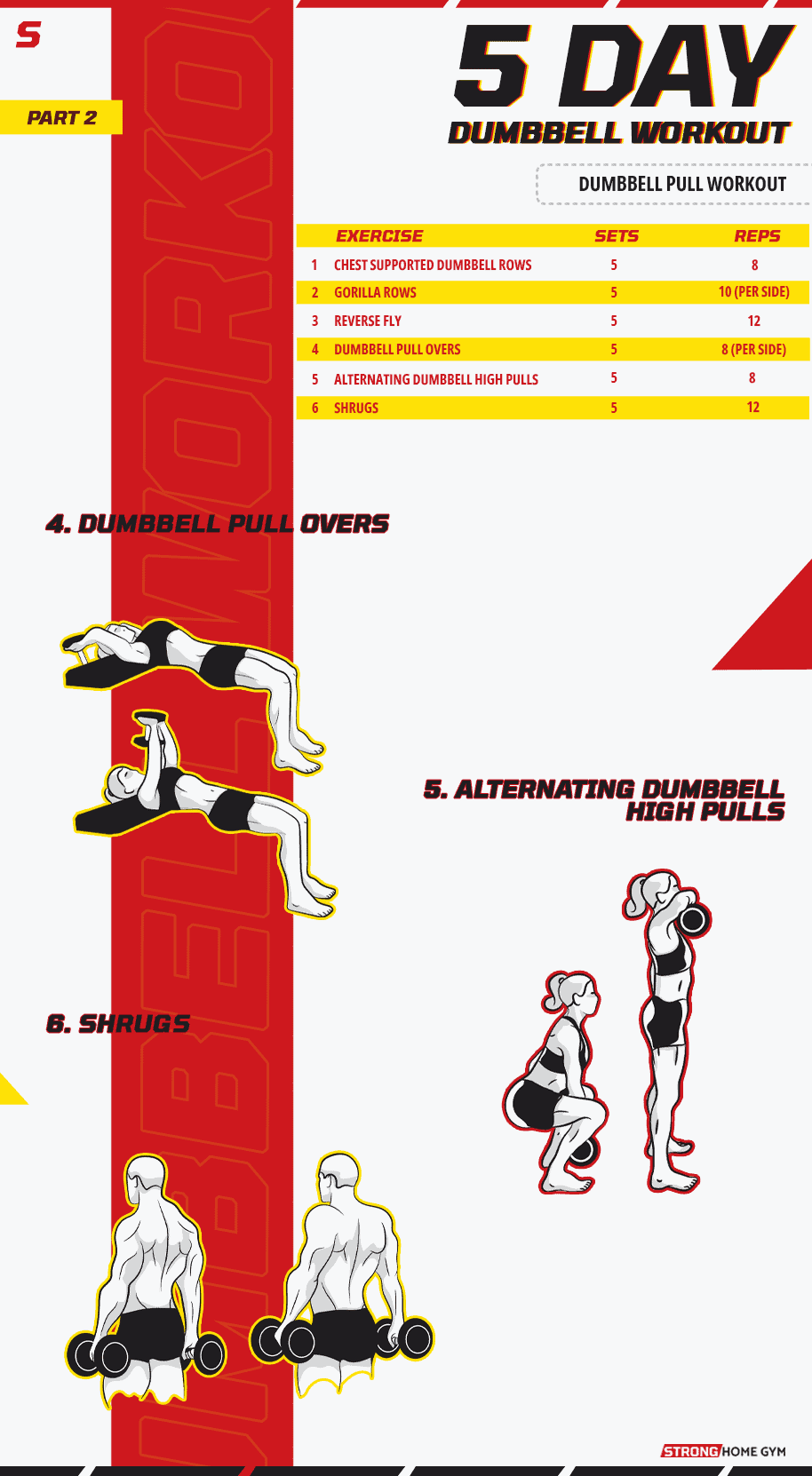 5 Day Dumbbell Pull Workout part 2