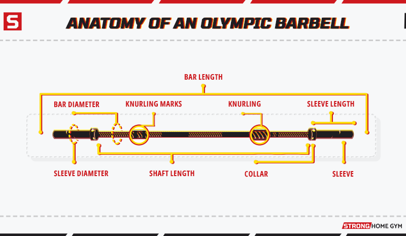 Anatomy Of An Olympic Barbell