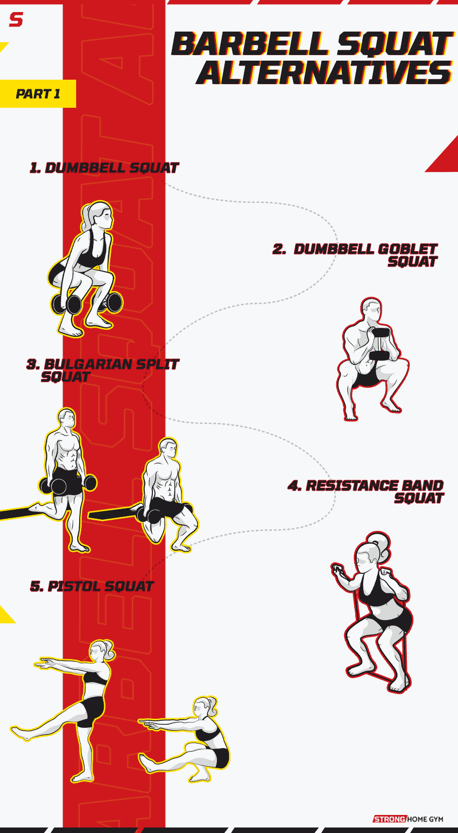 Barbell squat alternative infographic part 1
