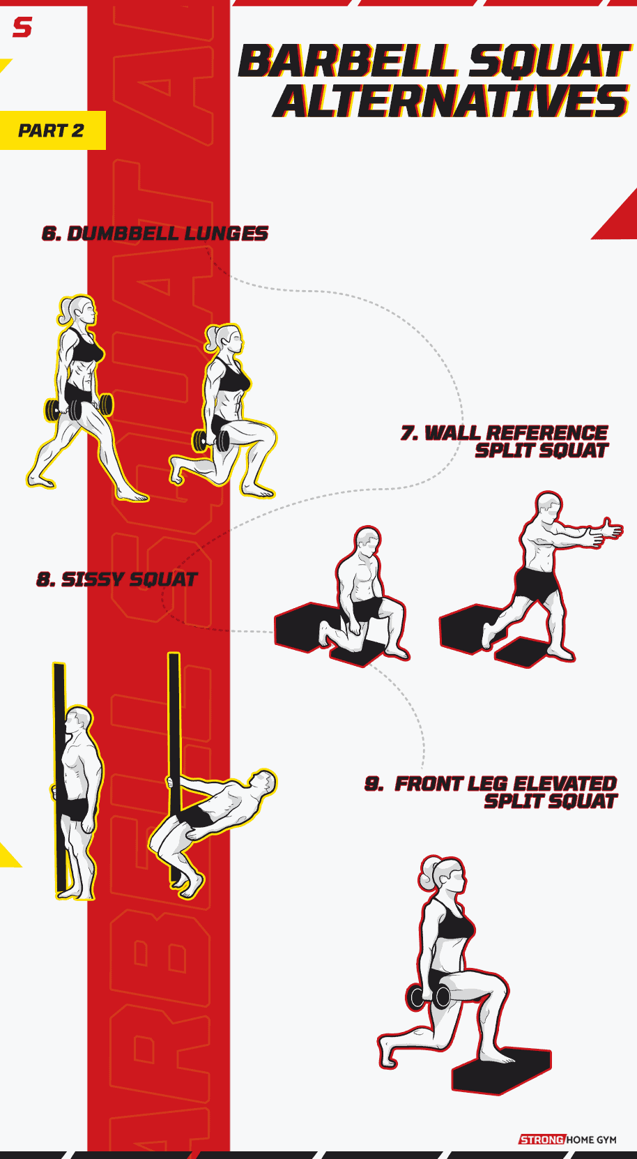Barbell squat alternative infographic part 2