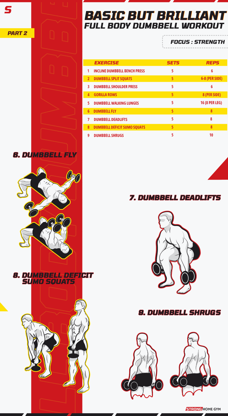 Basic But Brilliant Full Body Dumbbell Workout (Strength) Infographic 2