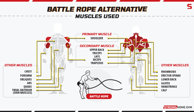 Battle Rope Alternative - Muscles Used