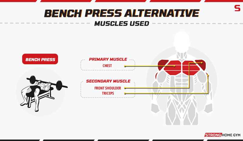 Bench Press Alternative - Muscles Used