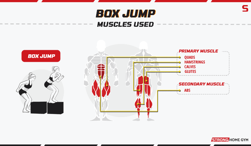 Box Jump Alternatives Muscles Used