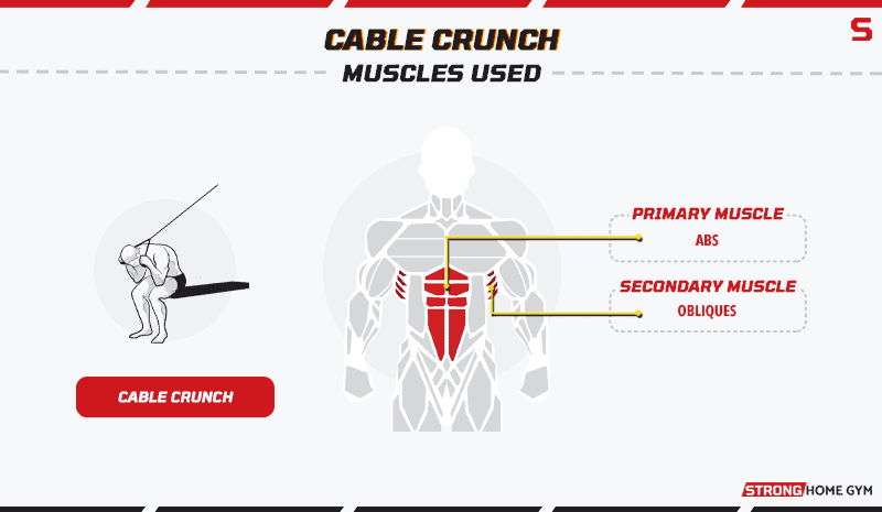 Cable crunch alternative muscles used