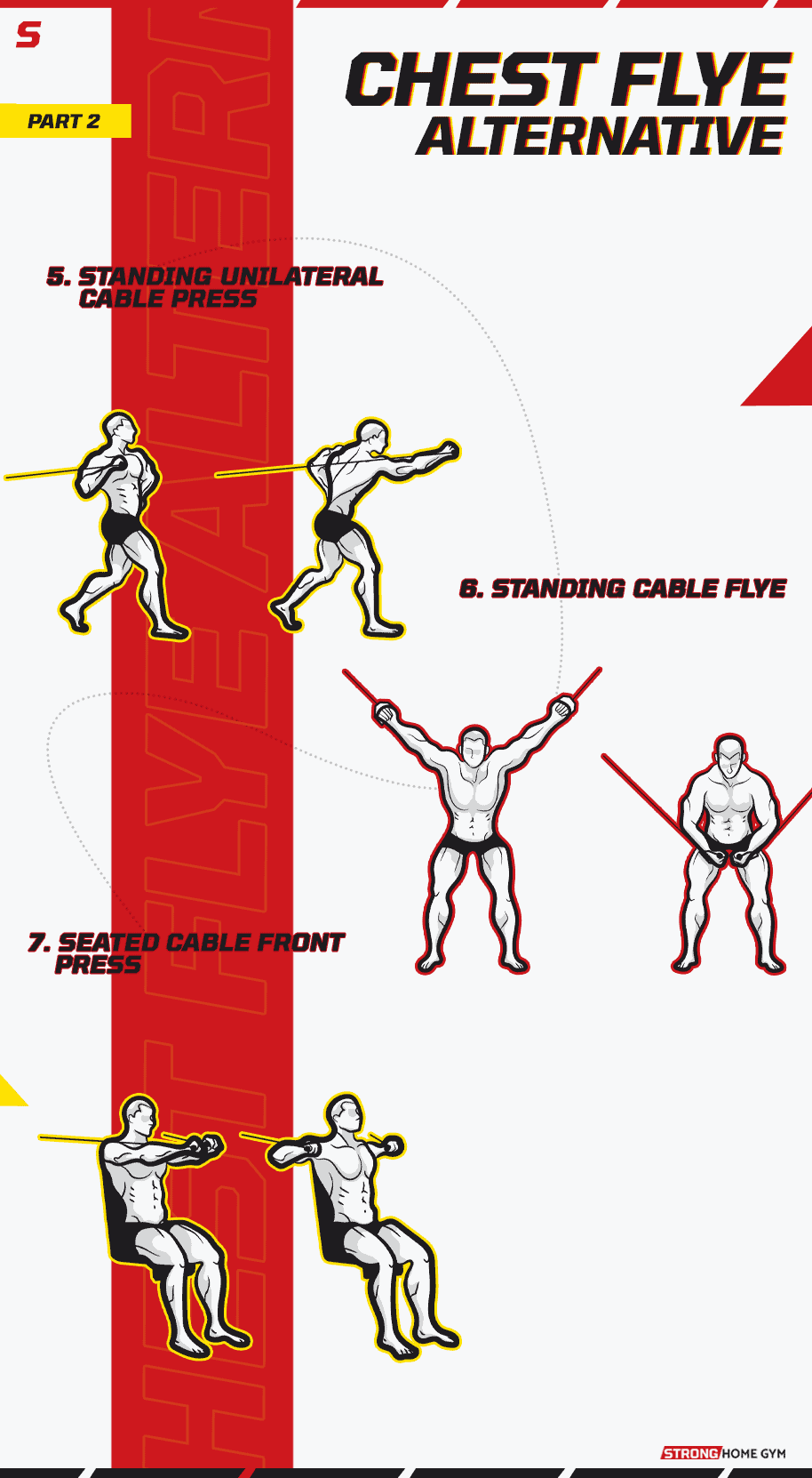 Chest Fly Alternatives Infographic part 2