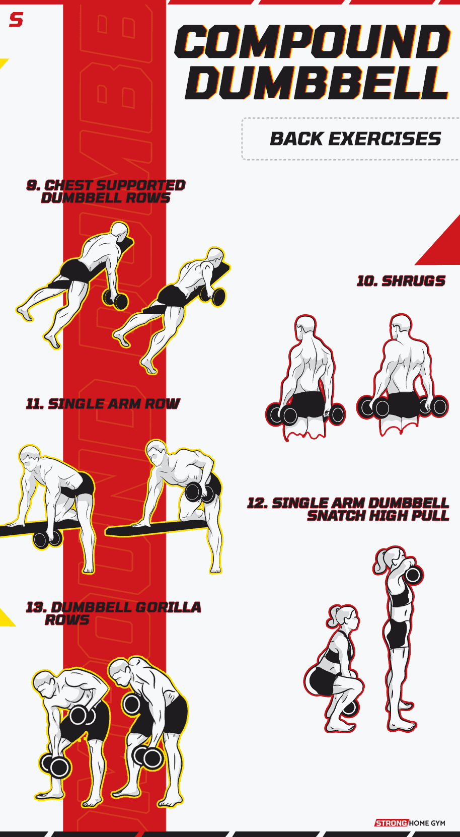 Compound Dumbbell Back Exercises Infographic