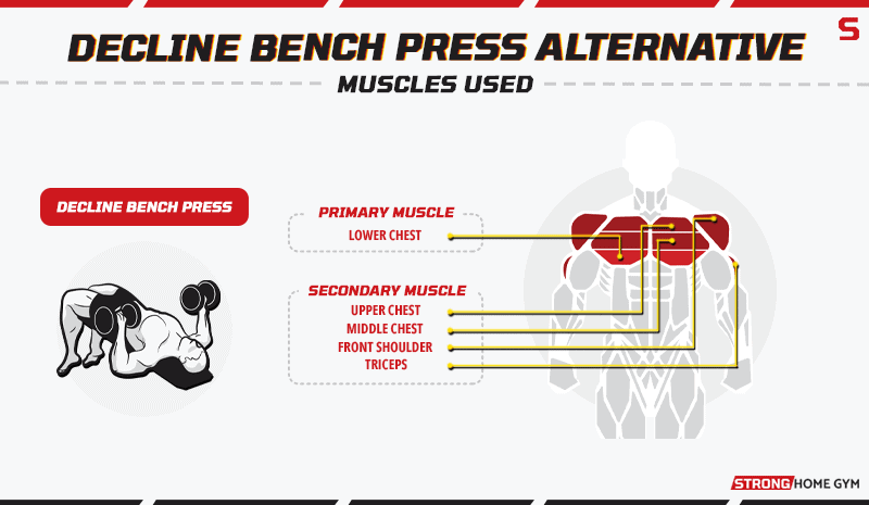Decline Bench Press Alternative Muscles Used