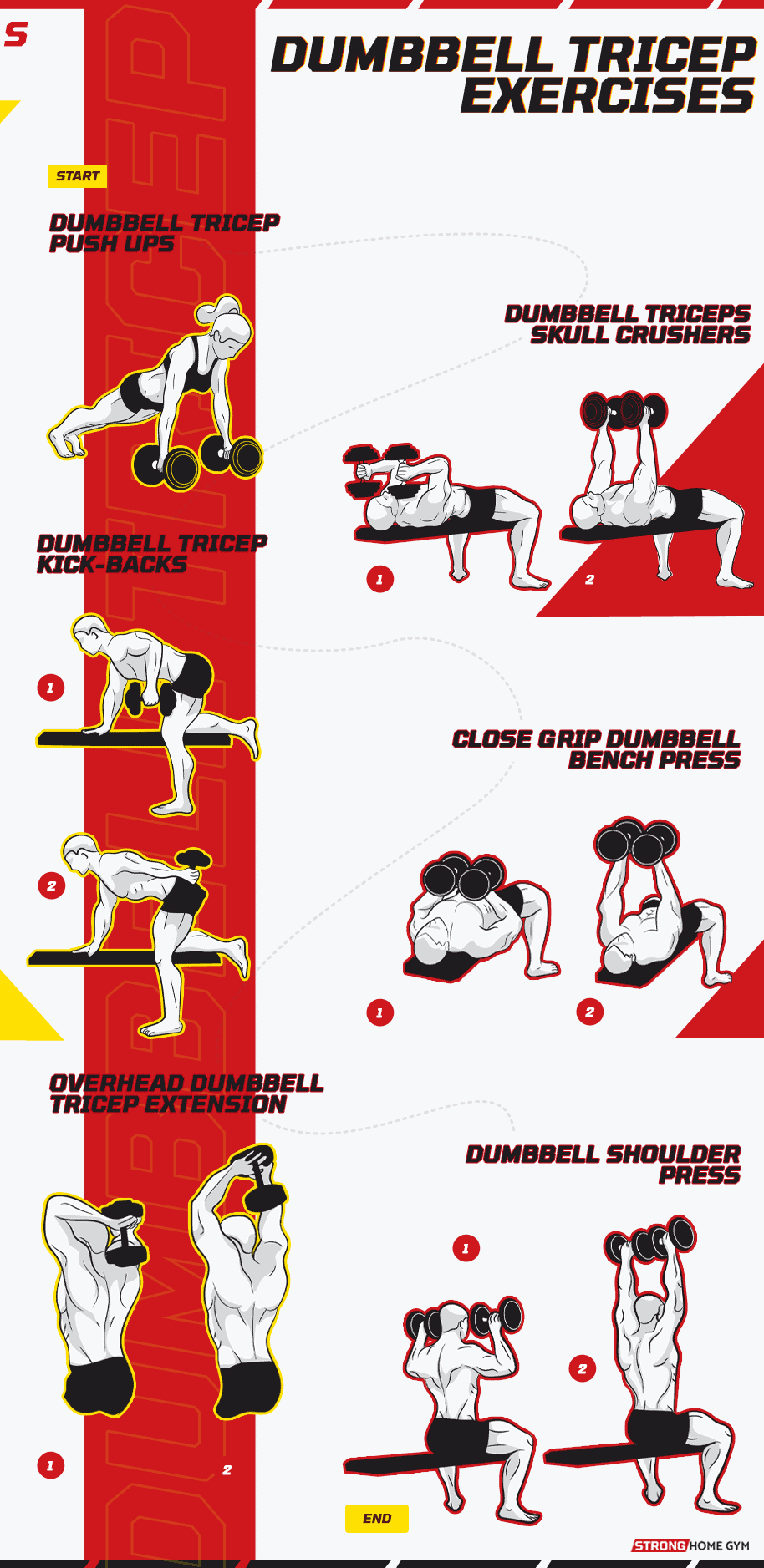 Dumbbell tricep exercises infographic