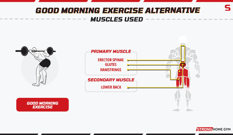 Good Morning Exercise Alternative Muscles Used