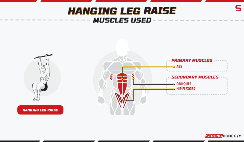 Hanging leg raise alternative - muscles worked
