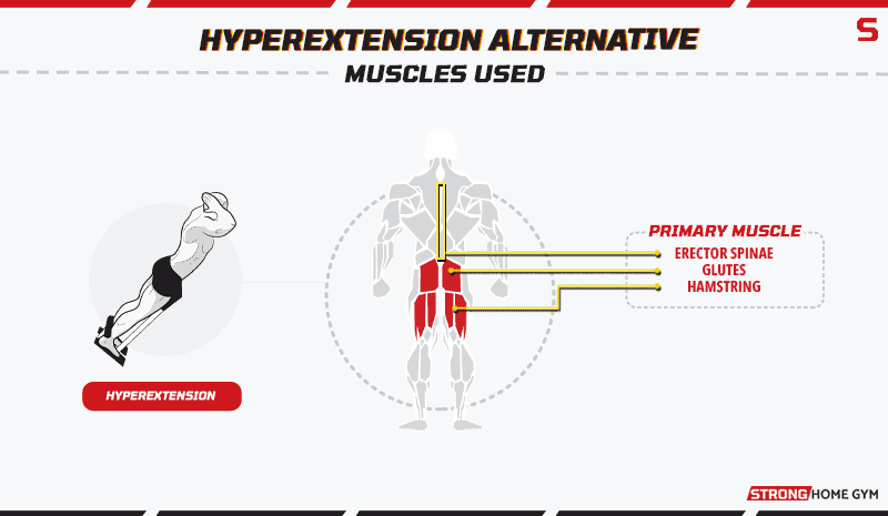 Hyperextension Alternative Muscles Used