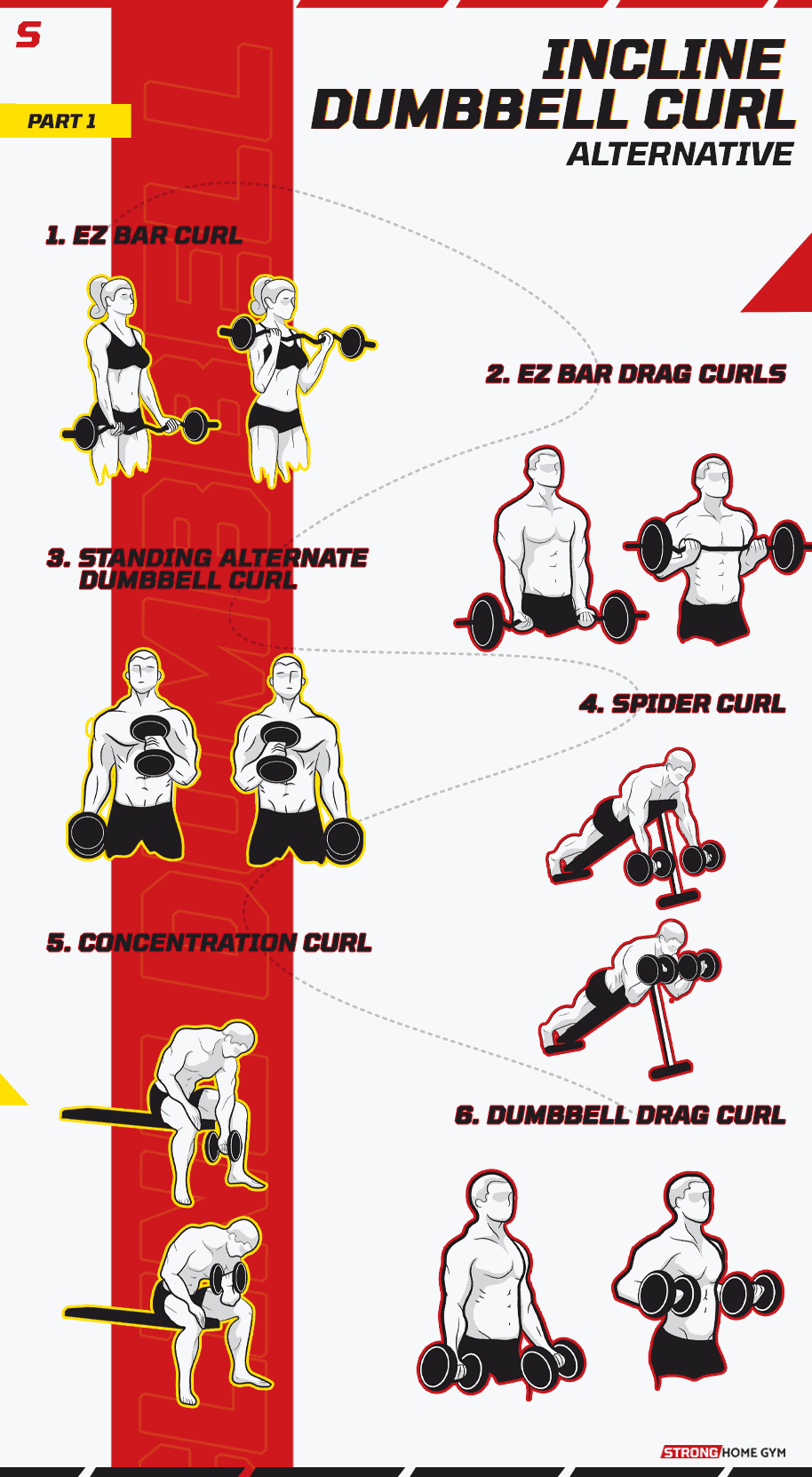 Incline Dumbbell Curl Alternative Infographic part 1