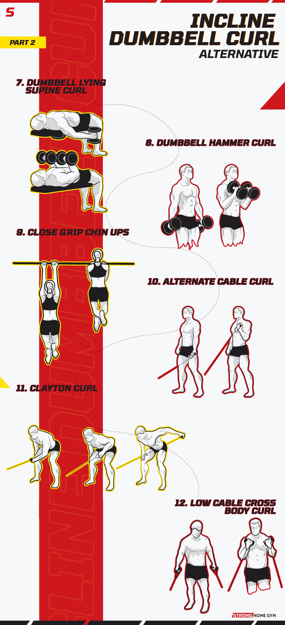 Incline Dumbbell Curl Alternative Infographic part 2