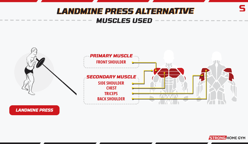 Landmine Press Alternative Muscles Used