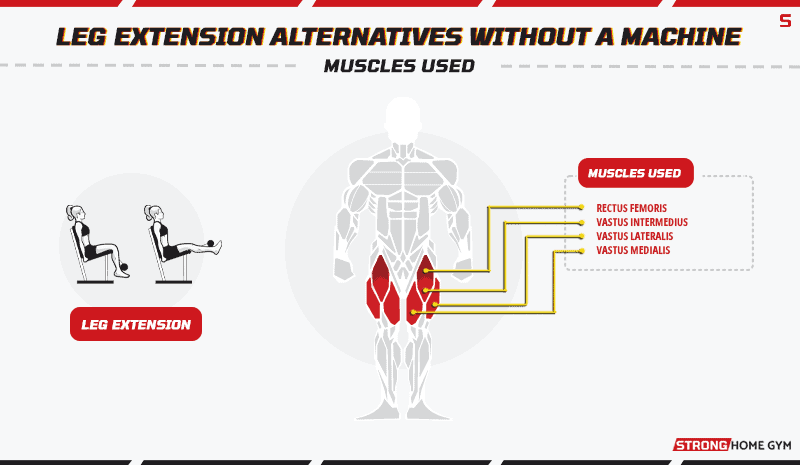 Leg Extension muscles used