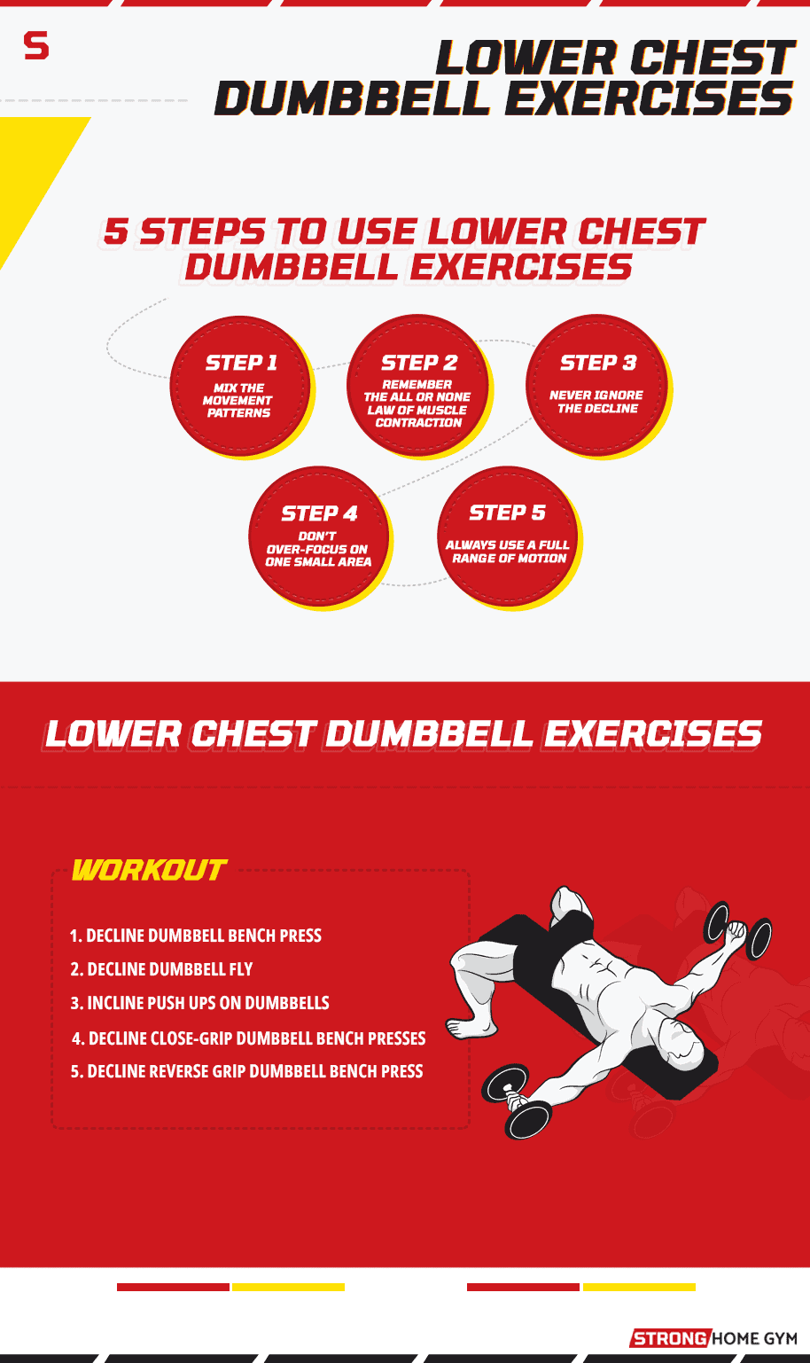 Lower Chest Dumbbell Exercises General Infographic