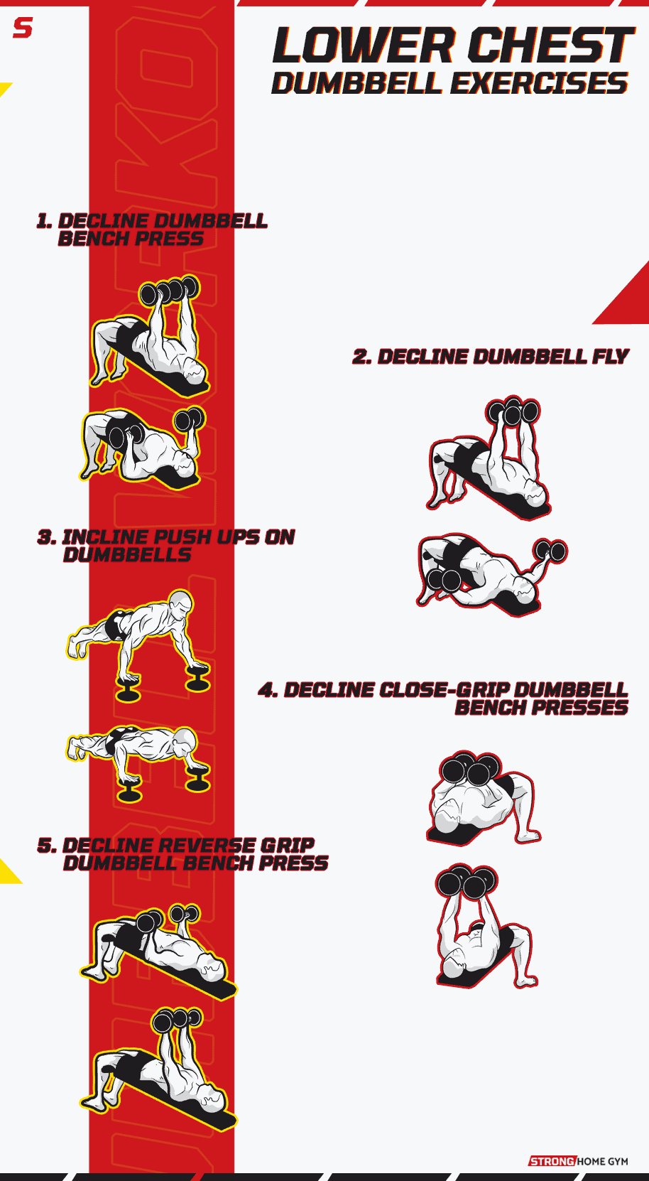 Lower Chest Dumbbell Exercises Infographic