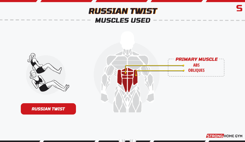 Muscles used in Russian twist