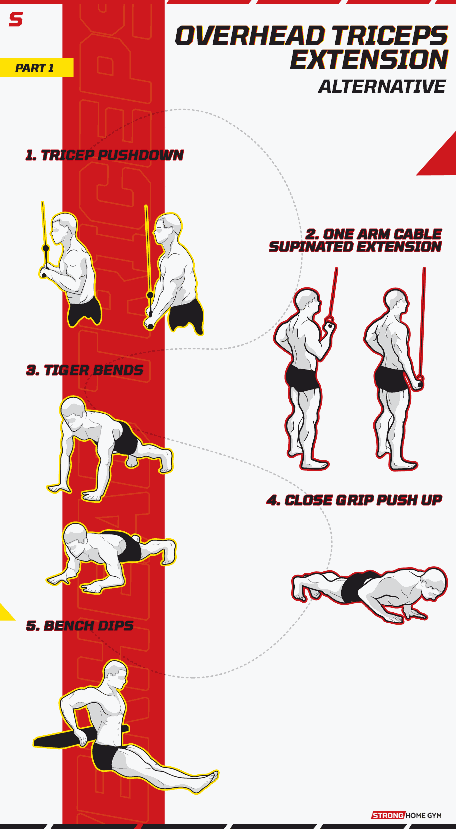 Overhead Triceps Extension Alternative Infographic part 1