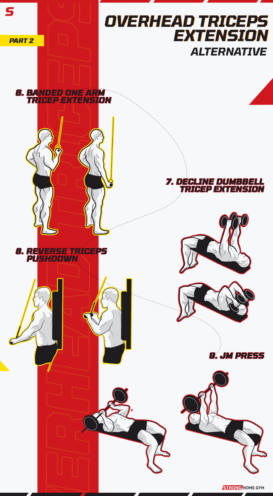 Overhead Triceps Extension Alternative Infographic part 2