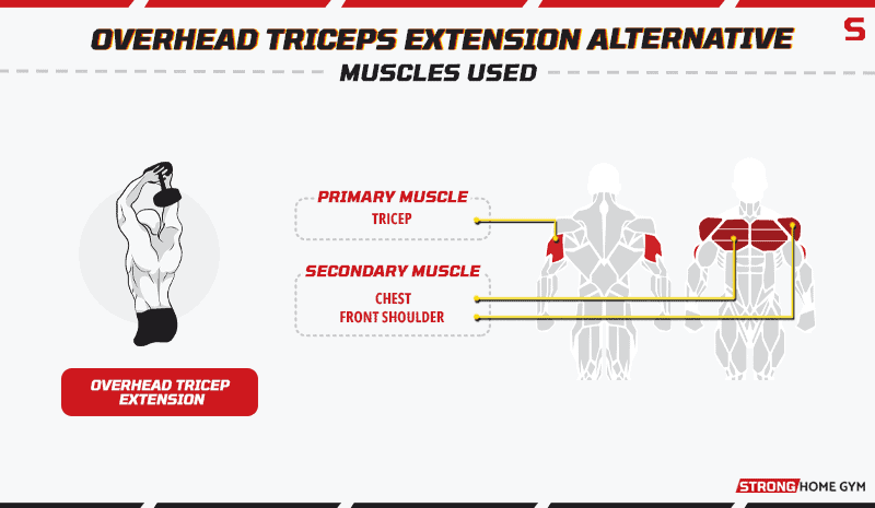 Overhead Triceps Extension Alternative Muscles Used
