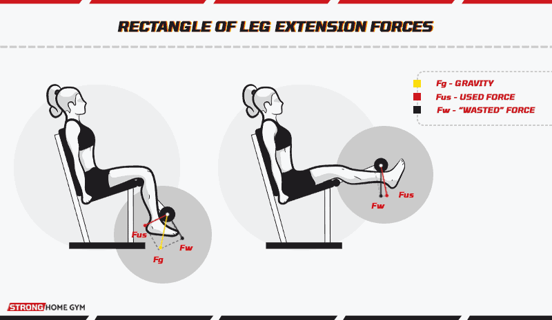 Rectangle of leg extension forces