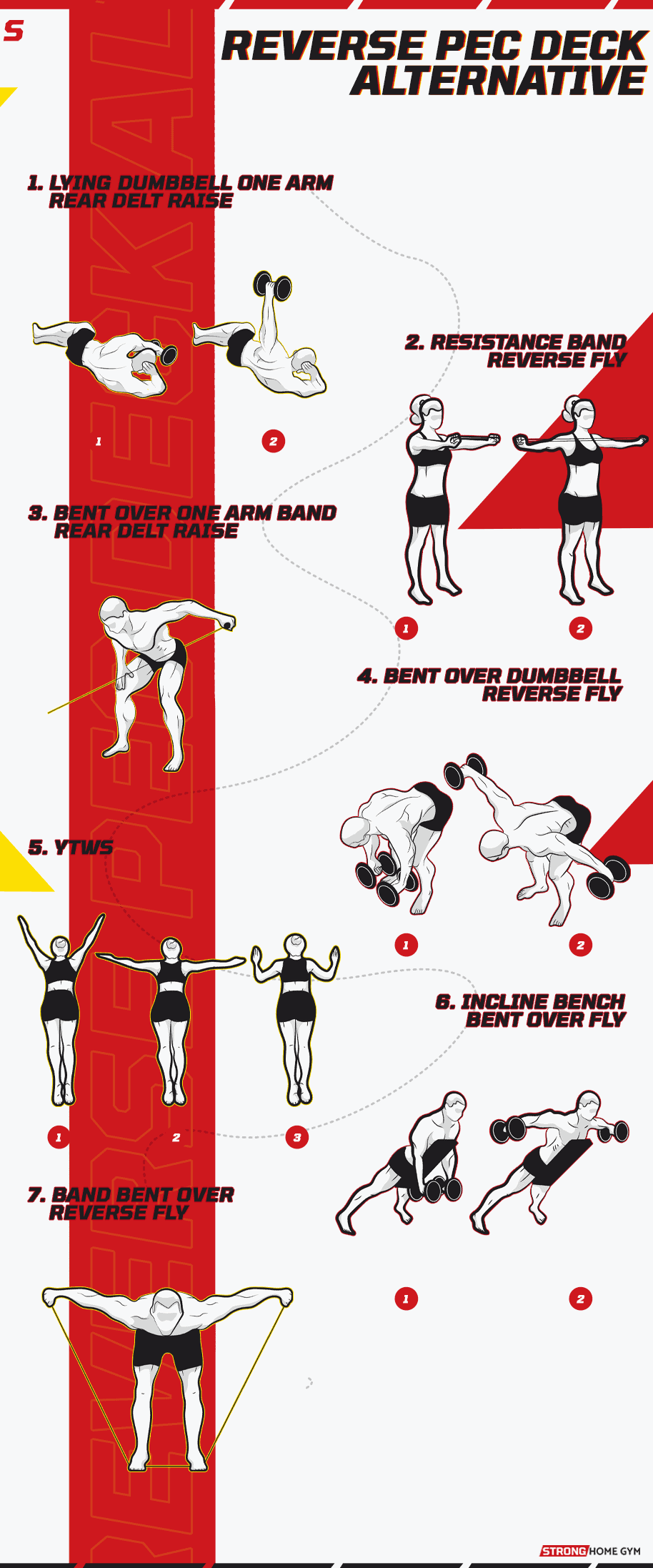 Reverse Pec Deck Alternative infographic