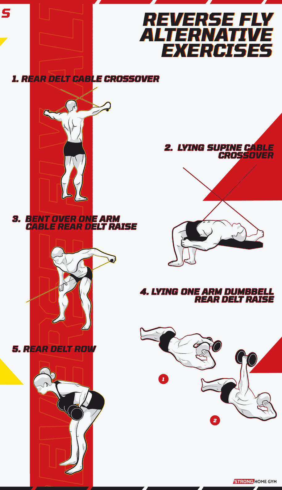 Reverse fly alternative infographic