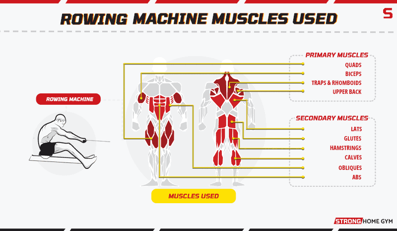 Rowing machine alternative muscles used