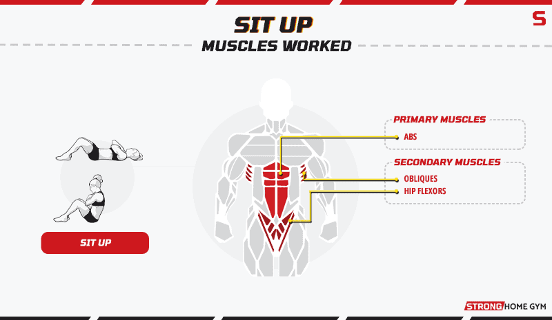 Sit up - muscles worked