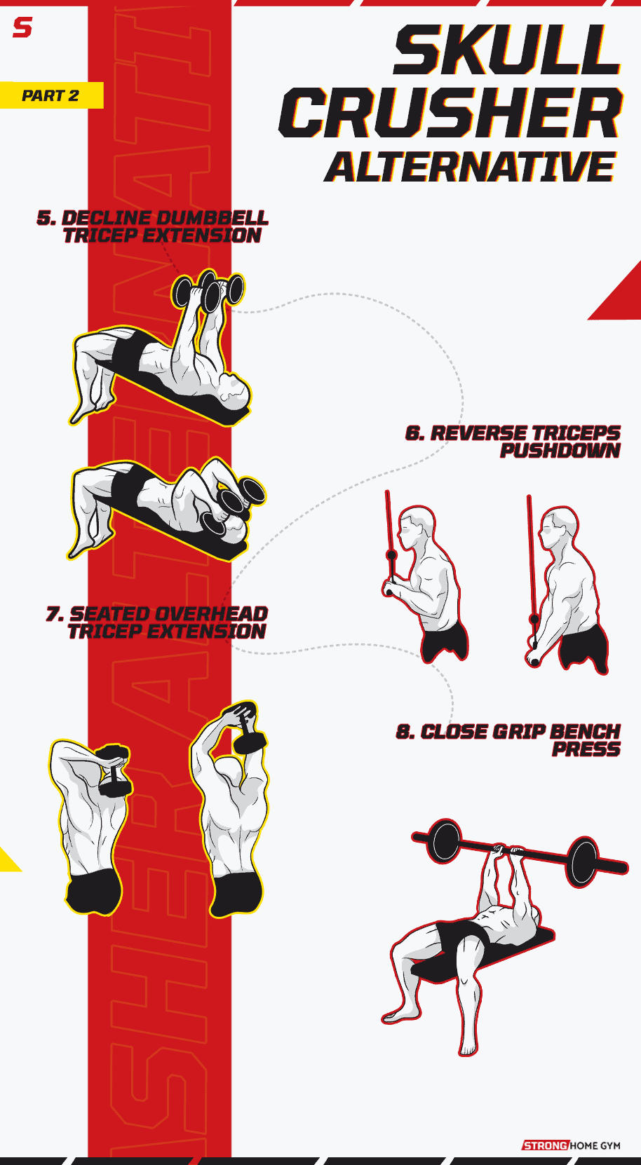 Skull Crusher Alternative Infographic part 2
