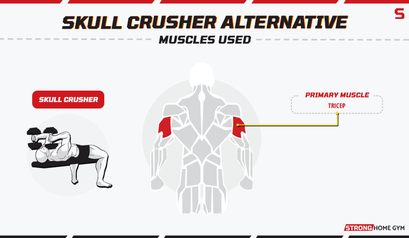 Skull Crusher Alternatives - Muscles Used