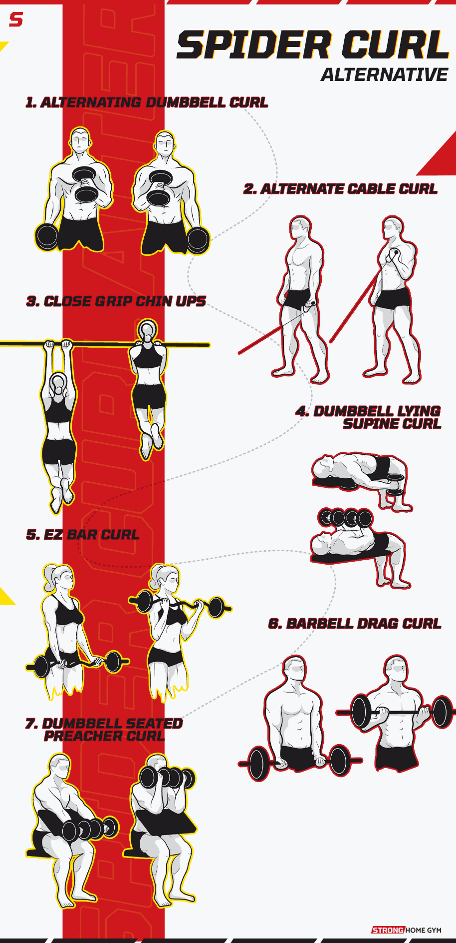 Spider Curl Alternatives Infographic