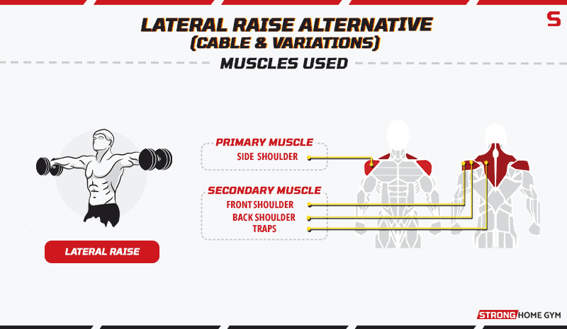 Lateral Raise Alternative Muscles Used