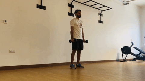 Lateral raise demonstration