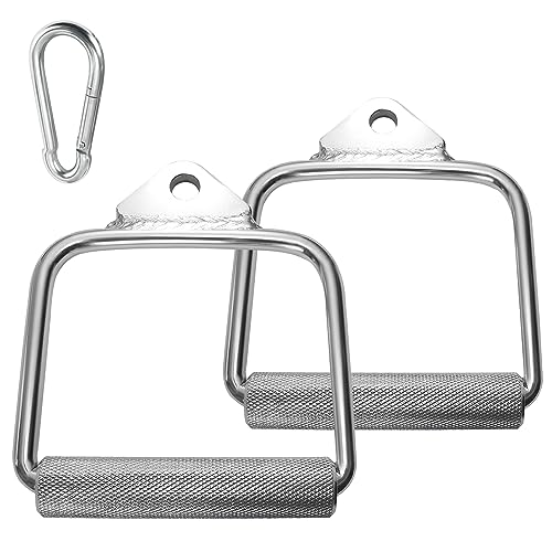 A2ZCare D-handle pair