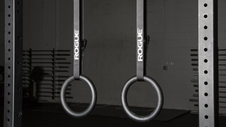 Rogue Steel Rings