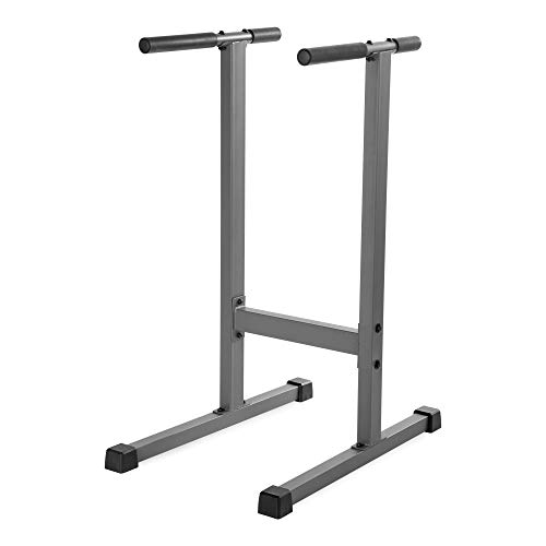 Xmark 500 dip station