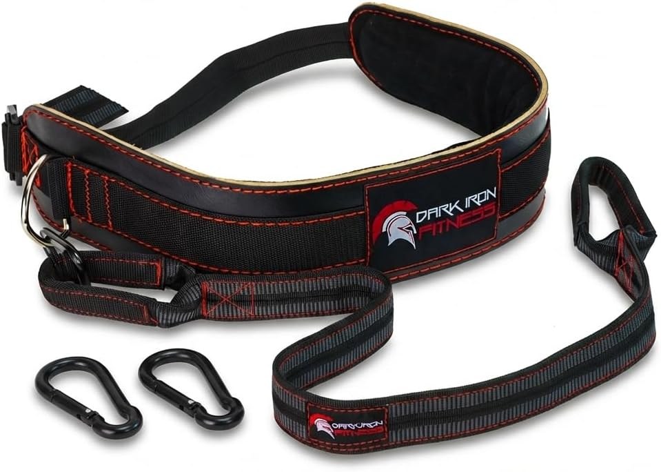 Dark Iron Fitness Leather Dip Belt