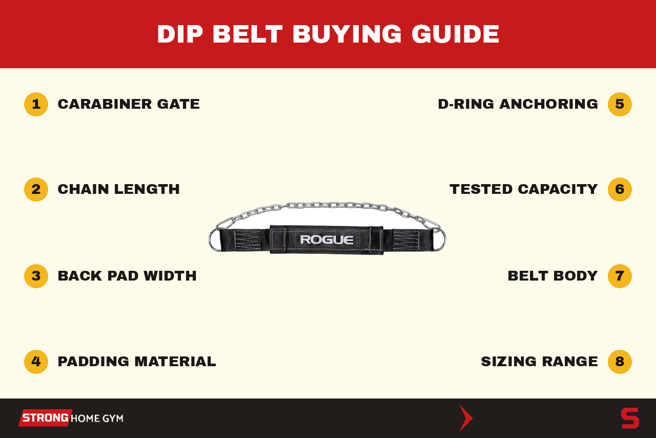 Dip belt buying guide: the 8 things we check on every dip belt, from carabiner gate and chain length to back pad width and sizing range